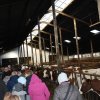 Seminarium Wyjazdowe Dla Hodowców Bydła I Producentów Mleka